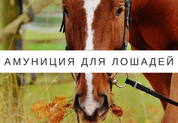 Амуниция